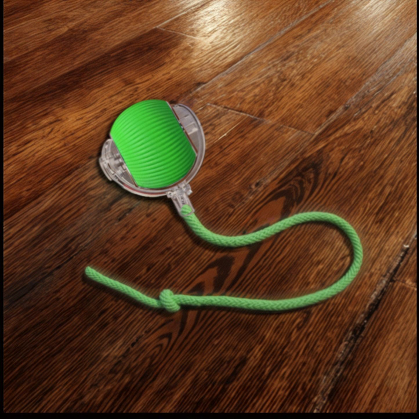 Cat Chaser Ball
