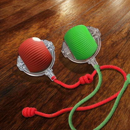 Cat Chaser Ball