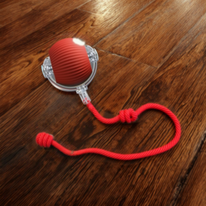Cat Chaser Ball