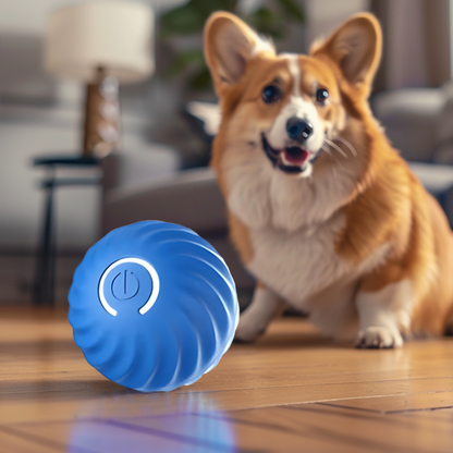 Dog Chaser Ball